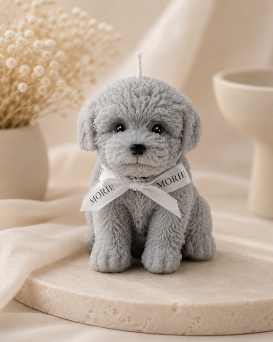 Cavoodle | Pillar
