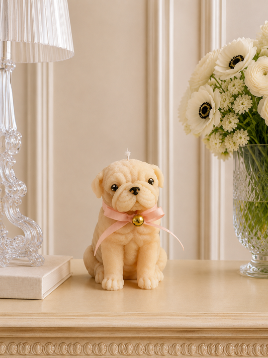 Petite Pug | Pillar