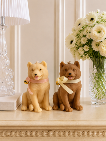 Petite Shiba Inu | Pillar