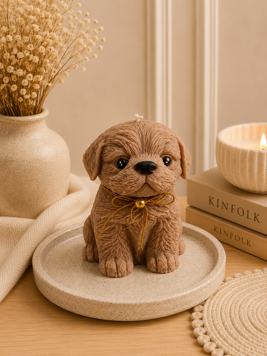 Shih Tzu | Pillar