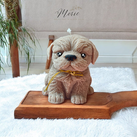Shih Tsu | Pillar